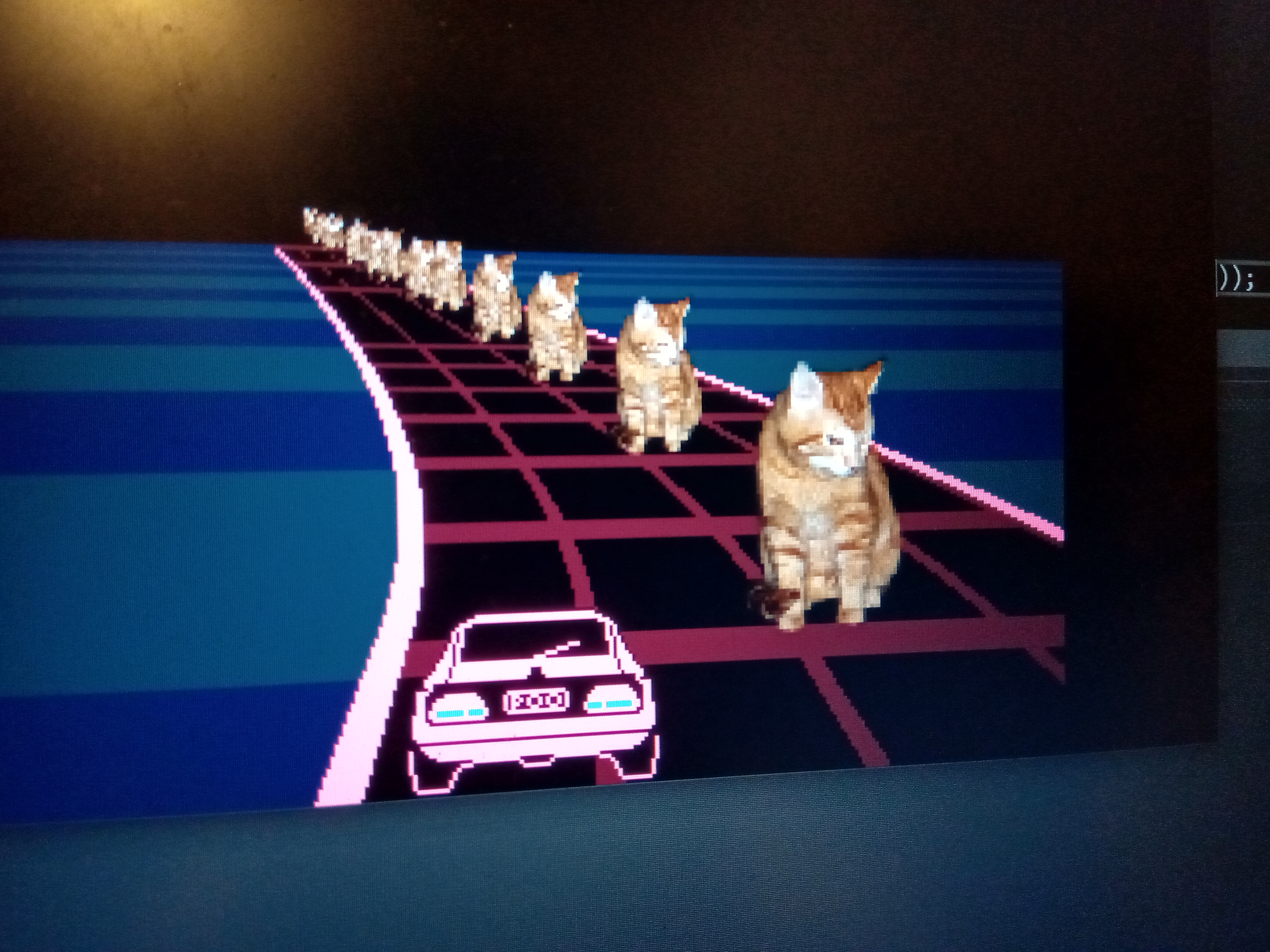 Cats on a road